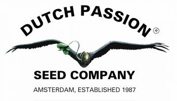 Dutch Passion es un banco de semillas creado en 1987