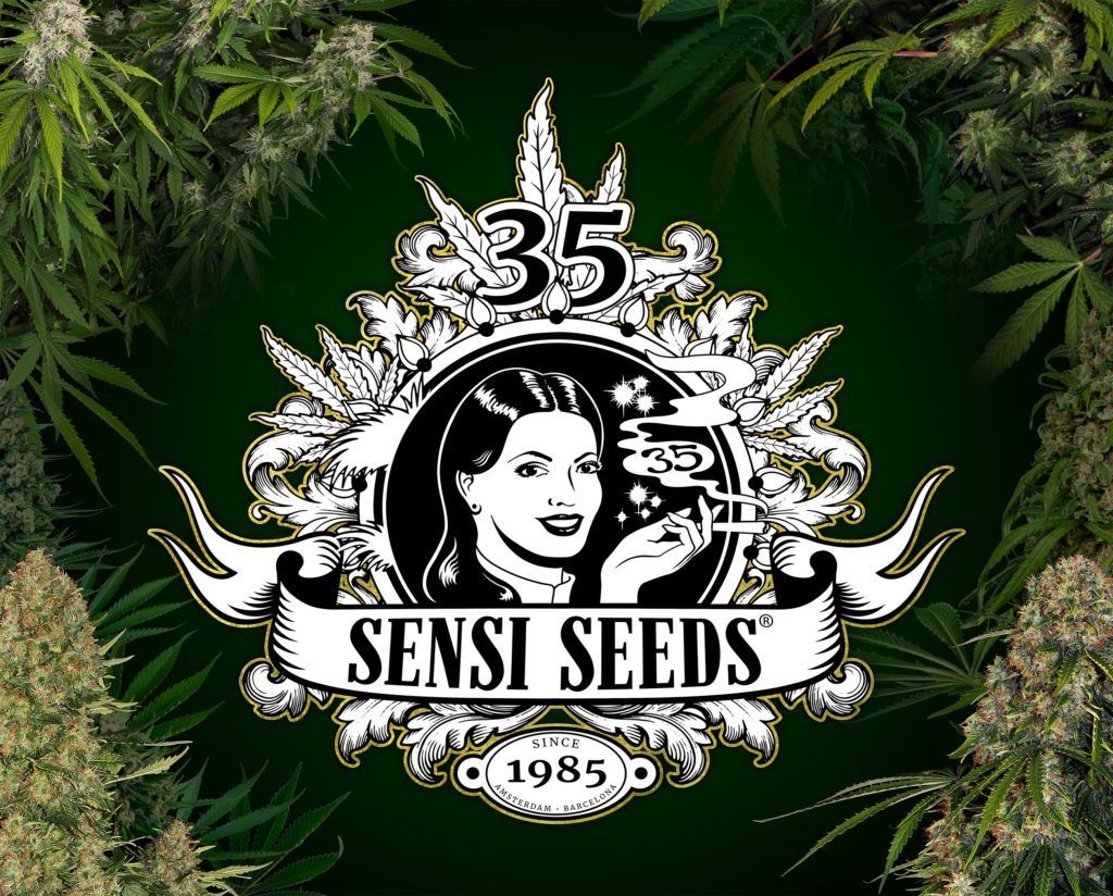 Sensi Seeds es un banco de semillas con origen holandés