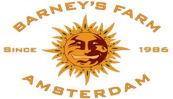 Barney's Farm es un banco de semillas de origen holandés.
