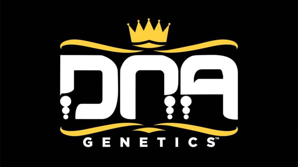 DNA es un banco de semillas que surge en Ámsterdam en 2004.