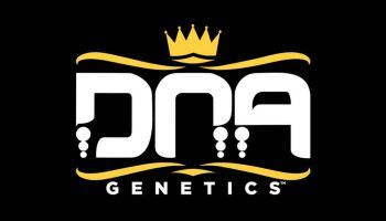 DNA es un banco de semillas que surge en Ámsterdam en 2004.